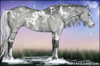 Horse Color:White Spotted Silver Black Chinchilla Ice Sabino 