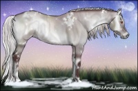 Horse Color:White Spotted Chocolate Silver Grullo Chinchilla Onyx Sabino Brindle 