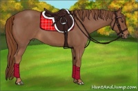 Horse Color:Red Roan 