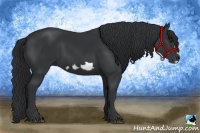 Horse Color:Black Frame 