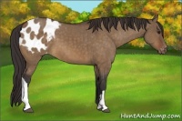 Horse Color:Brown Dun Blanket Brindle