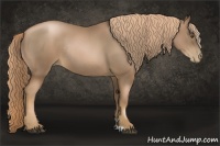 Horse Color:Liver Chestnut Pearl Rabicano