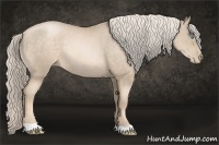 Horse Color:Chocolate Palomino Pearl Rabicano