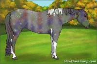 Horse Color:Nacre Smoky Black Tobiano 
