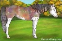 Horse Color:Nacre Bay Splash 