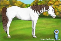 Horse Color:Classic Champagne Splash Appaloosa Rabicano 