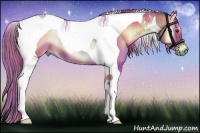 Horse Color:Nacre Watercolor Red Onyx Tobiano