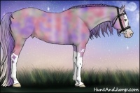 Horse Color:Nacre Watercolor Sable Cream Champagne Splash