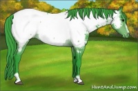 Horse Color:Watercolor Brown Sabino Appaloosa 