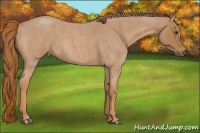 Horse Color:Red Roan 