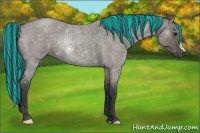 Horse Color:Painted Grullo Roan