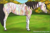 Horse Color:Bay Ice Tobiano 