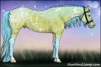 Horse Color:Watercolor Brown Ice 