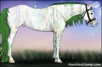Horse Color:Watercolor Brown Ice Roan