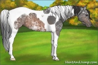 Horse Color:Brown Ice Tobiano 