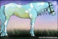 Horse Color:Watercolor Brown Tobiano Appaloosa 