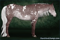 Horse Color:White Spotted Chocolate Silver Black Chinchilla Varnish 