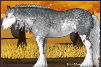 Horse Color:Silver Black Chinchilla Sabino Rabicano 