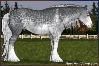 Horse Color:Silver Black Chinchilla Sabino