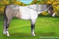 Horse Color:Buckskin Roan Sabino Varnish 