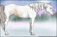 Horse Color:White Spotted Chocolate Palomino Pearl Splash Tobiano 