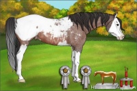 Horse Color:Bay Roan Splash Near Fewspot 