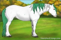 Horse Color:Watercolor Black Tobiano Appaloosa 