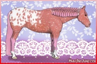 Horse Color:Watercolor Bay Appaloosa 