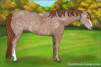 Horse Color:Chestnut Ice 