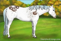 Horse Color:Painted White Spotted Bay