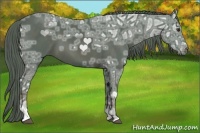 Horse Color:Watercolor Liver Chestnut Ice Sabino 