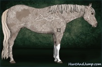 Horse Color:Silver Black Ice