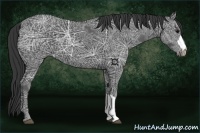 Horse Color:Black Ice 