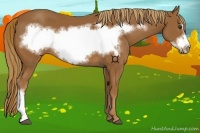 Horse Color:Chestnut Frame
