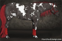 Horse Color:Painted White Spotted Liver Chestnut 