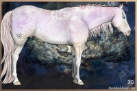 Horse Color:Watercolor White Spotted Gold Cream Champagne Ice Pearl Onyx Tobiano Frame 