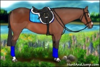 Horse Color:Bay Sabino 