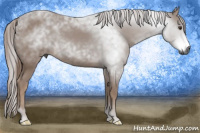Horse Color:Gray Chestnut Frame