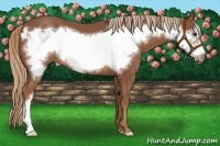 Horse Color:Chestnut Frame