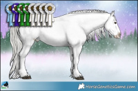 Horse Color:Liver Chestnut Mushroom Appaloosa 