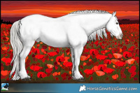 Horse Color:Liver Chestnut Mushroom Appaloosa Rabicano