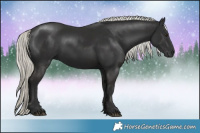 Horse Color:Liver Chestnut Mushroom 