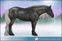 Horse Color:Liver Chestnut Mushroom