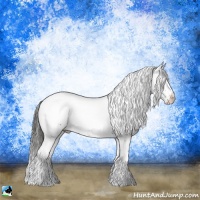 Horse Color:White Spotted Liver Chestnut Rabicano