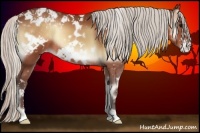 Horse Color:White Spotted Silver Bay Onyx Frame Appaloosa