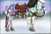 Horse Color:Buckskin Splash Rabicano 