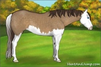 Horse Color:Liver Red Dun Splash 