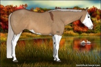 Horse Color:Silver Brown Dun Splash