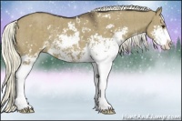 Horse Color:Liver Red Dun Sabino Rabicano Brindle 