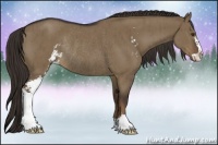 Horse Color:Liver Red Dun Sabino Rabicano Brindle